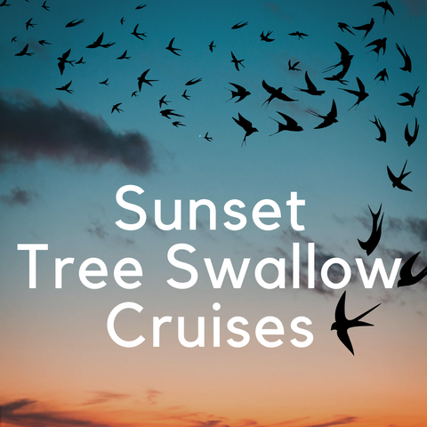 Sunset Tree Swallow Cruise Saturday September 20, 2025 @ 5:00 pm