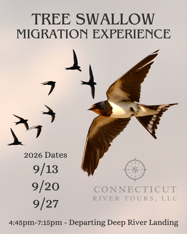 Sunset Tree Swallow Cruise Sunday September 13, 2026 @ 4:45 pm